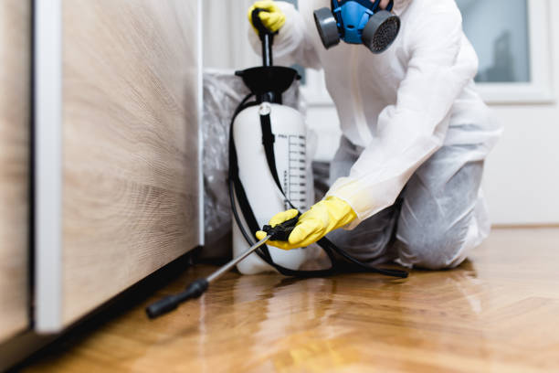 Best Cockroach Control Services  in Lawton, IA