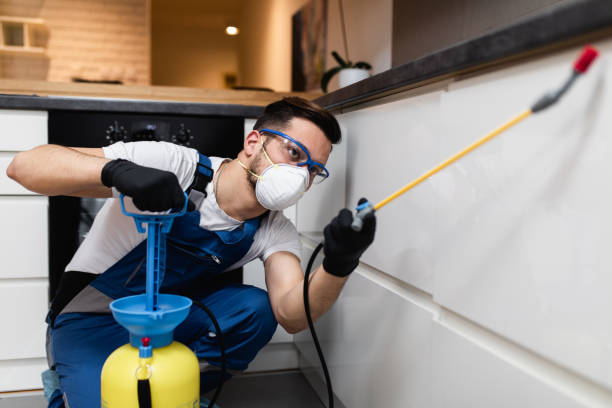Best Wildlife Control Services  in Lawton, IA