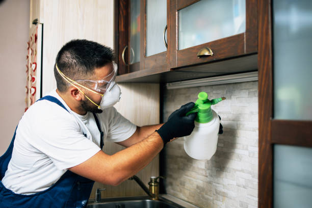 Best Bed Bug Extermination  in Lawton, IA