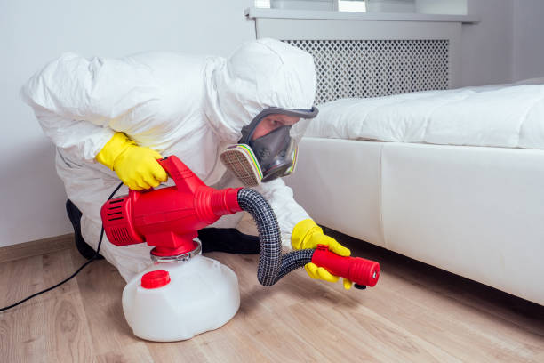 Best Local Pest Control Services  in Lawton, IA