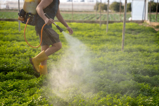 Best Residential Pest Control  in Lawton, IA