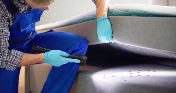 Reliable Lawton, IA Pest Control Solutions