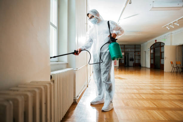 Best Pest Control for Homes  in Lawton, IA