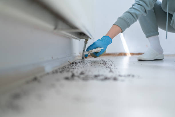 Best Commercial Pest Control Services  in Lawton, IA
