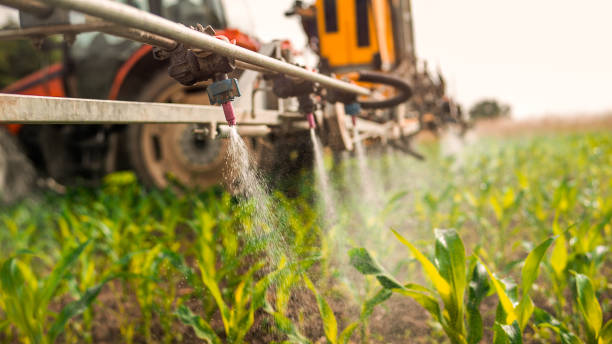Best Local Pest Control Services  in Lawton, IA